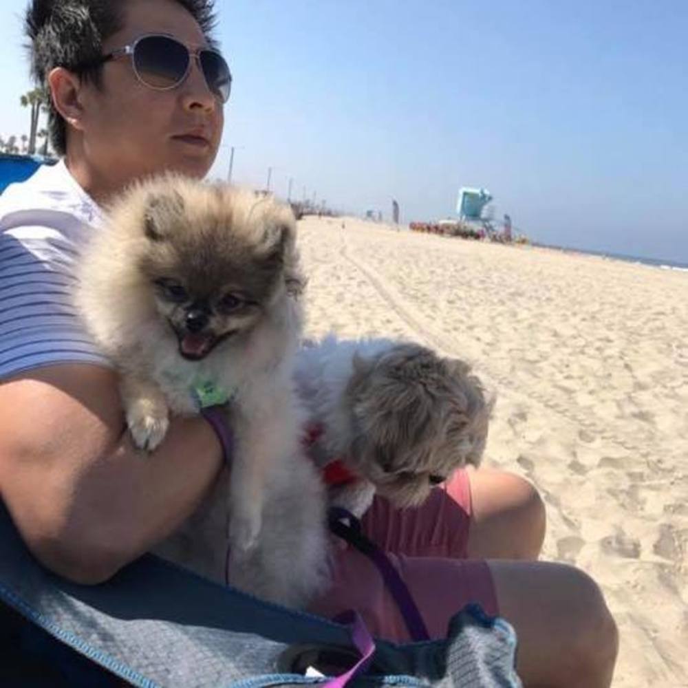 Meet your Posher, Alex